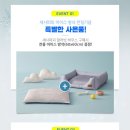 쿨 퍼피 이미지