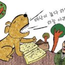 서당개 이미지