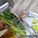 바퀜 진용 밀폐용기 사용 후기 #내돈내산 바퀜 진공용기