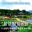 태수광택 | [함양 힐링여행] 함양의 천년의 역사를 간직한 인공숲 "함양 상림공원" 그 곳에서 양귀비와 연꽃과 조우...
