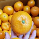 나연농장 이미지