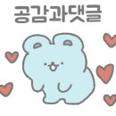 다이소안동용상점