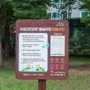 수성근린공원 이미지