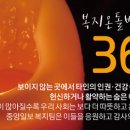 36.5 이미지