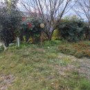 금와부동산중개사무소 이미지