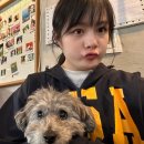 행복하개키울고양 | [서울] &#39;행복하개키울고양&#39; / 서울 애견카페, 서울 애견운동장 솔직후기
