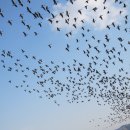 주남펜션민박 이미지