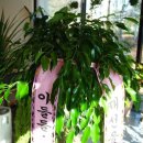 재선농장 이미지