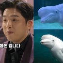 경복고등학교 | 안성재 벨루가 닮은꼴 총정리 모음 zip