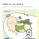 (주)그린포션 | [26년 3월] 일상(3/16~3/22)