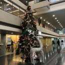 엘리트안과의원 이미지