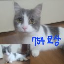 지산로115번길 이미지