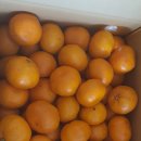 훈이네농장 이미지