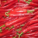 샘골농원 이미지