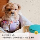 썬더 플레이스 | 스타필드수원 근처 반려견동반 가능 베트남 음식전문점 '연제네 수원인계점'