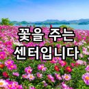 3H 대구광장센터 이미지