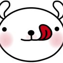 두부네 애견카페 이미지