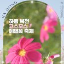 하동북천코스모스메밀꽃 영농조합법인 | 경남 하동 북천 코스모스 메밀꽃 축제 맛집 10월 국내여행지 추천