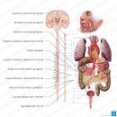 단대오거리한의원 이미지