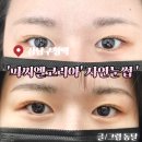 강남구청역 자연눈썹 잘하는 곳 피씨엘코리아 페더링눈썹 후기 추천
