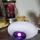 365편한내과의원 이미지