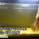 물고기 이미지