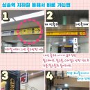 쏠 에스테틱 네이버블로그