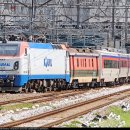 H4437 이미지