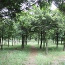 (주)즐거운 제주여행 이미지