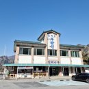 3811 | 단양 충주호유람선 장회나루 탑승 후기 할인정보