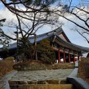 경포13호 네이버블로그