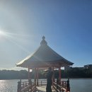 세븐일레븐 부산우동푸르지오점 | [후쿠오카 2박 3일 여행] 퇴사하고 떠나는 첫 일본 후쿠오카 여행(첫 공항노숙)