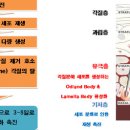 경희약초마을