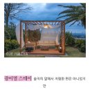 중문동 대포마을회관 앞 | 1월 제주도 서귀포 가볼만한곳 제주 서귀포 여행