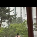 삼첩분식 보람점