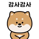 소녀폰부산 이미지