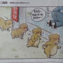 멍멍아 이미지