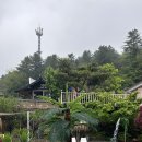 보타니칼 | [가평] 평일 5만원대 가성비 숙소｜수영장·바베큐·편의점까지 있는 보타니칼 펜션 후기