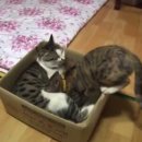 이준호농장 이미지