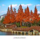 연지공원 이미지