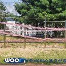 광덕운동장 티스토리