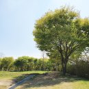 화수공원 이미지