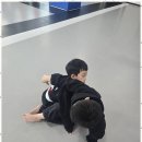 가온합기도 | 장유MK 내 몸과 마음이 성장한 경험 - 장유MK가온아카데미 후기