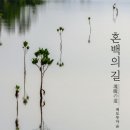 후비어 이미지