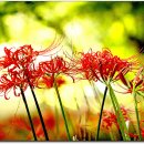 선우사 - 아산시 번영로 140 | 선우사