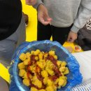 바른마음태권도장 이미지