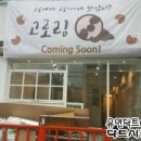 오픈닥트 이미지