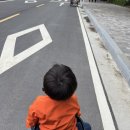 오늘카레 이미지