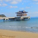 영일대해수욕장 이미지