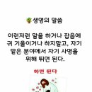 신성FS 이미지